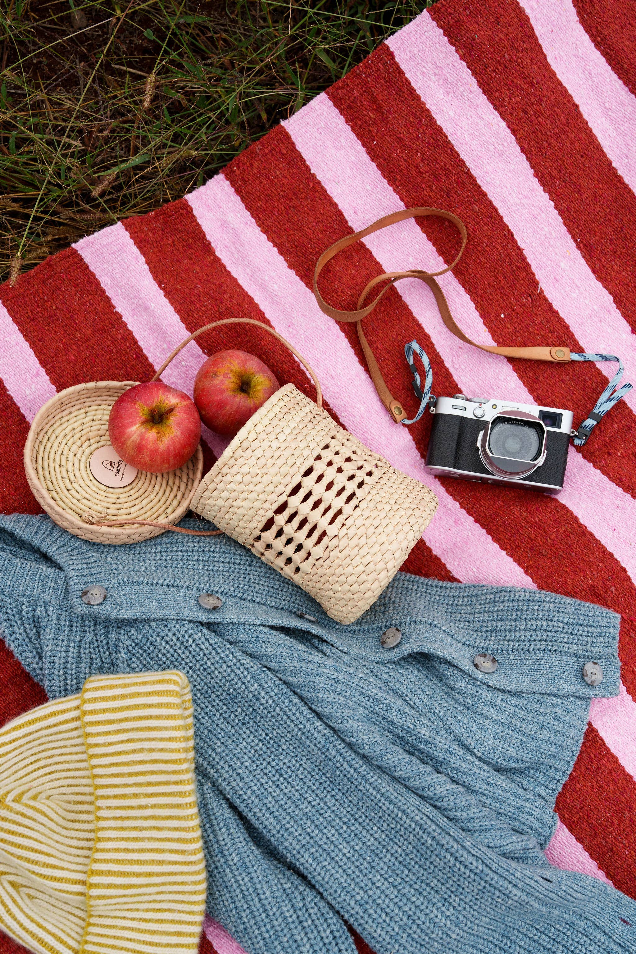 Red and white striped blanket with a blue sweater, woven basket, apples, and camera on grass.