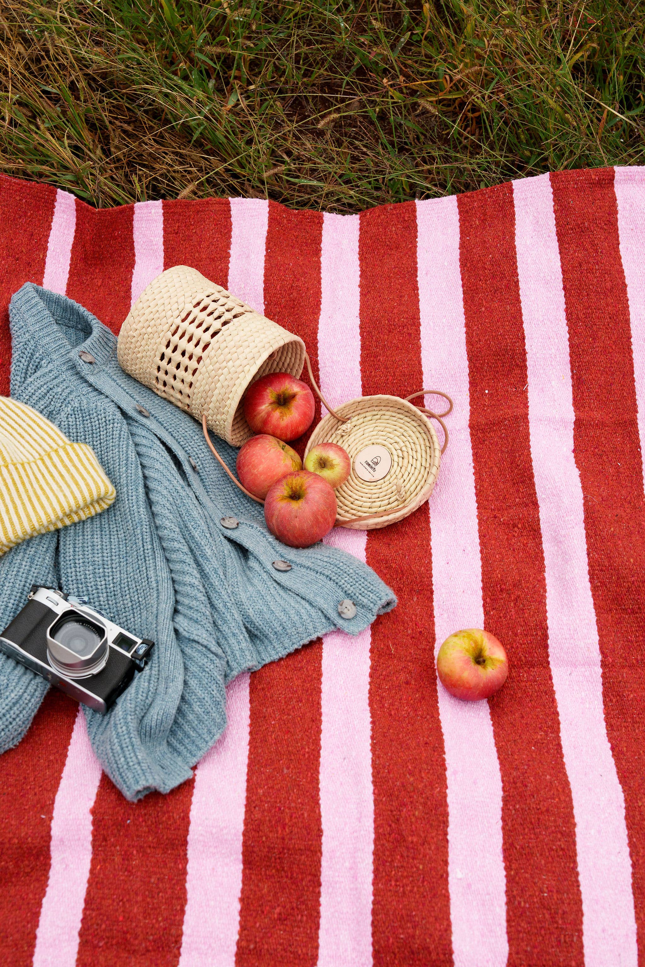 Red and white striped blanket with apples, a camera, and a blue jacket on grass.