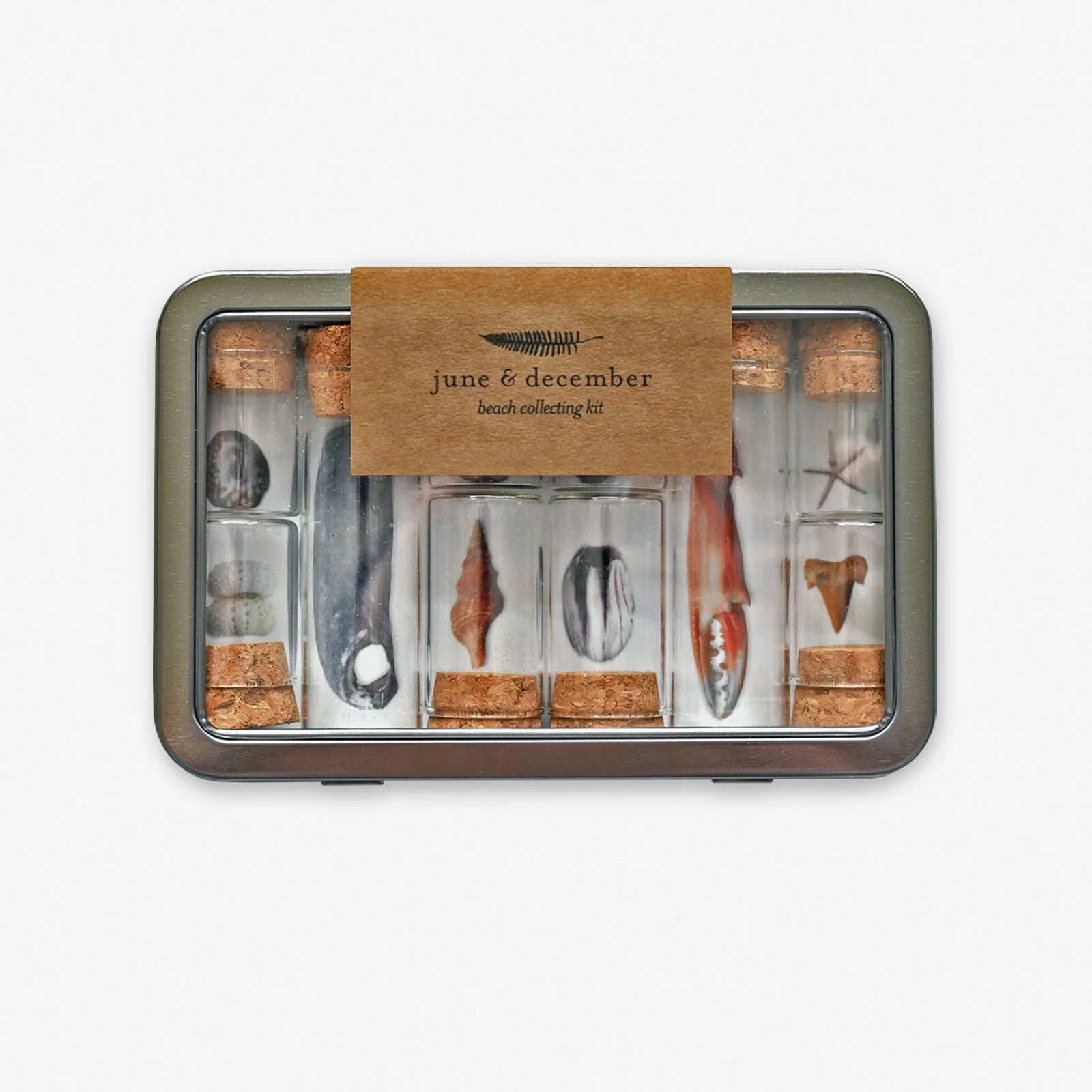 Beach Collecting Kit
