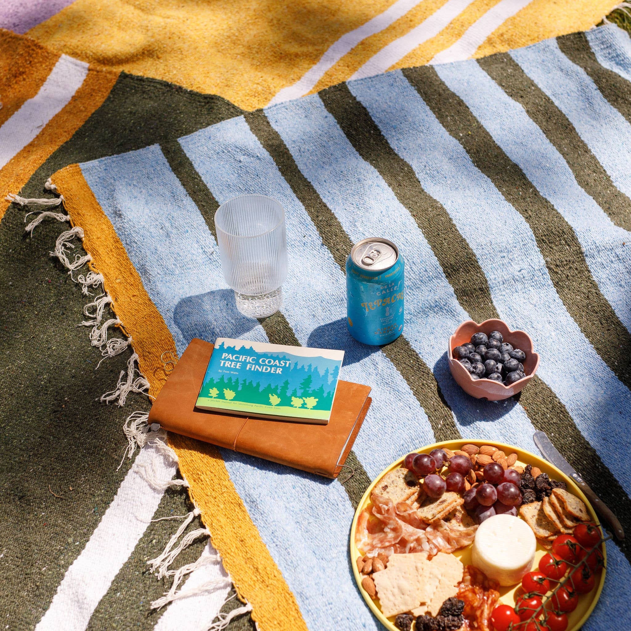 Outdoor picnic setting with a colorful striped blanket, snacks, and drinks