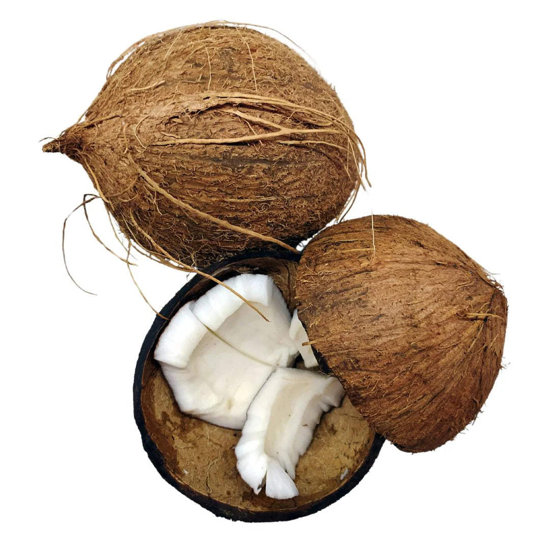 WOO Coconut Oil – Pure Coconut Luxury for Soft, Hydrated Skin & Hair