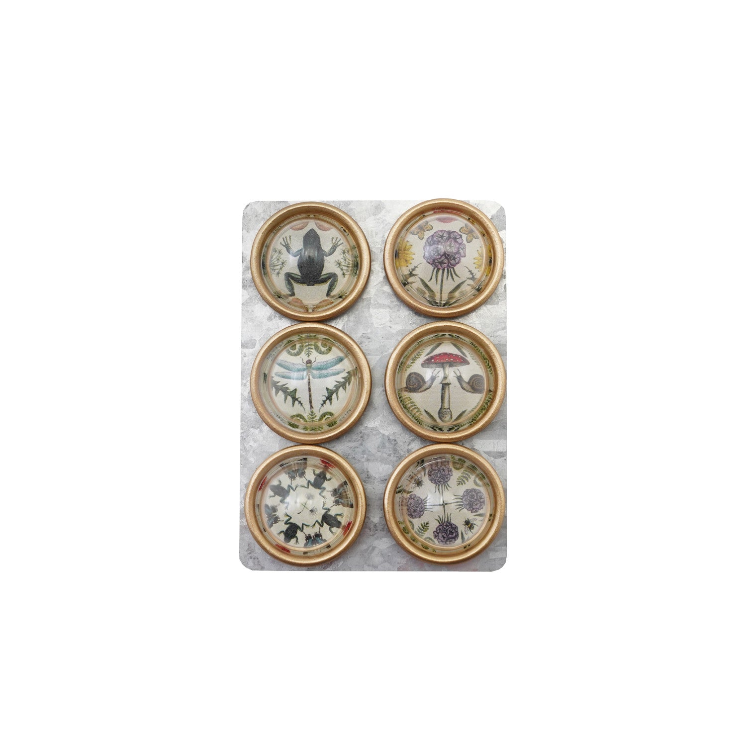 Resin Convex Magnets on Metal Card with Animals & Botanicals & Gold Finish, Set of 6 ©