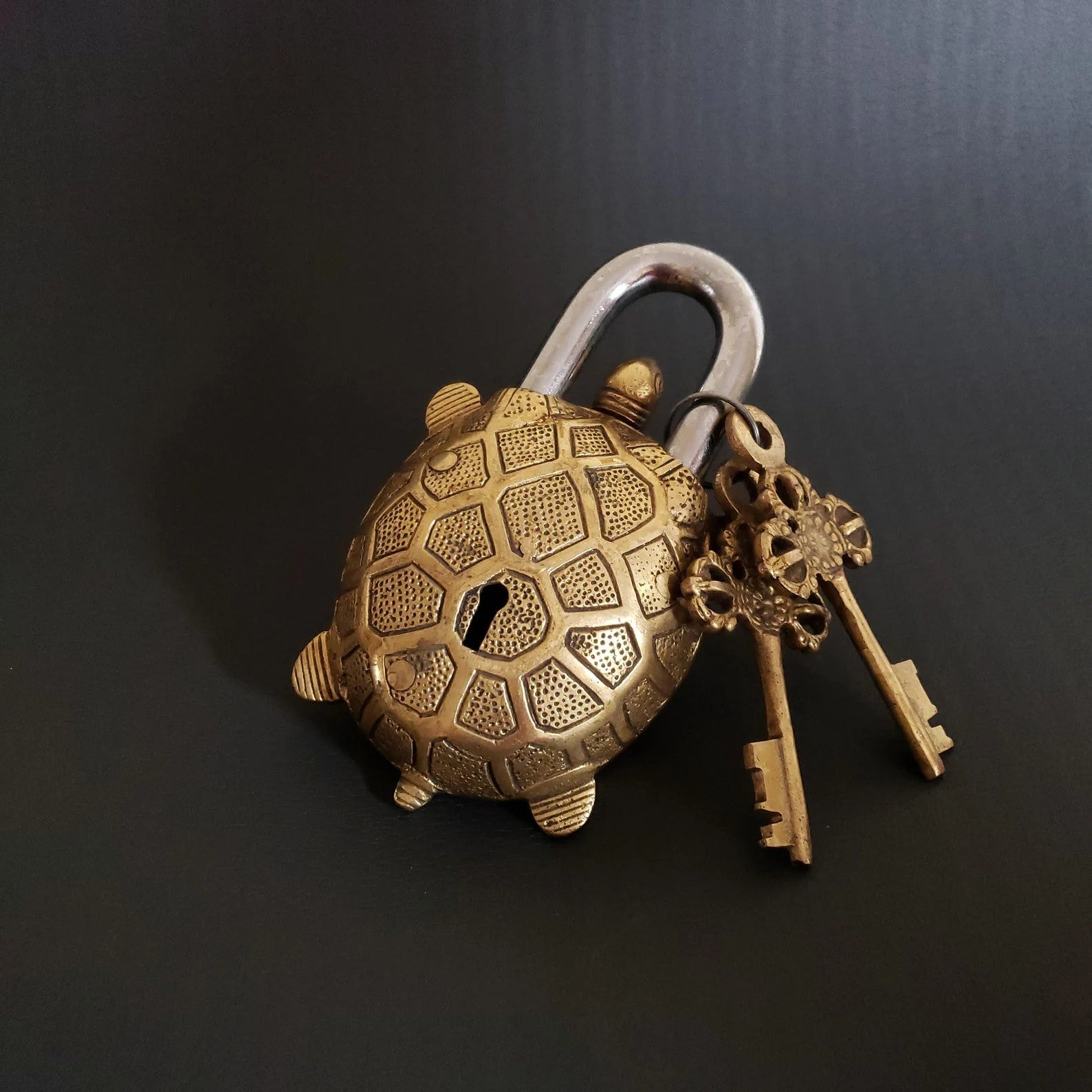 Turtle Brass Lock